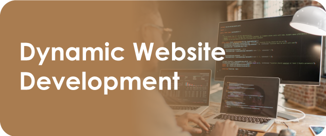 Dynamic Website Development