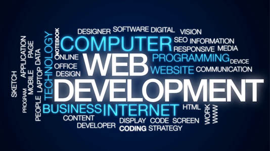 WEB DEVELOPMENT SERVICES