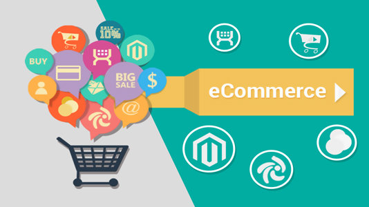 ECOMMERCE WEBSITE DEVELOPMENT